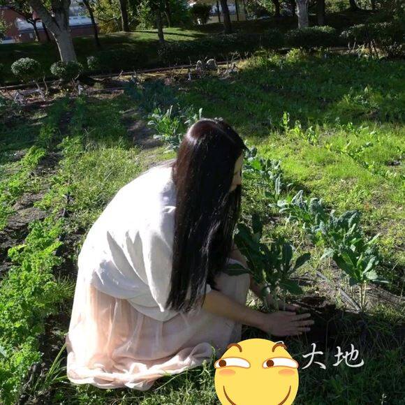 王祖贤